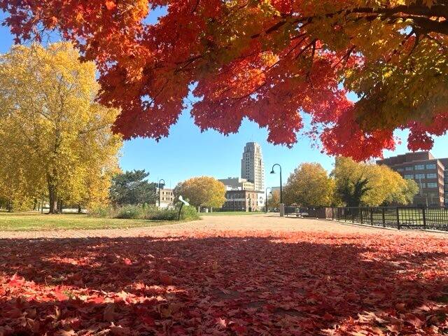 Battle Creek in the Fall